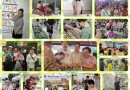 지역축제에 참여하여 함께 즐긴 시간들~~♬